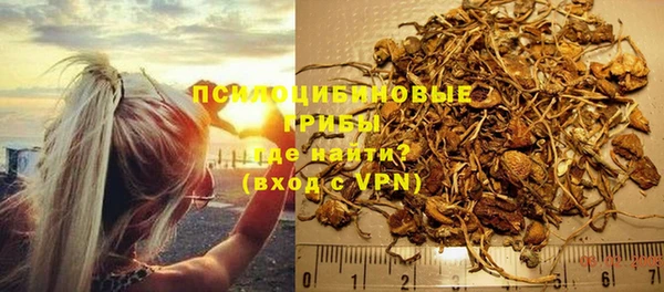 эйфоретик Горнозаводск