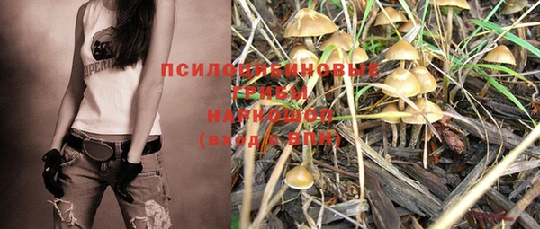 прущая мука Гусев
