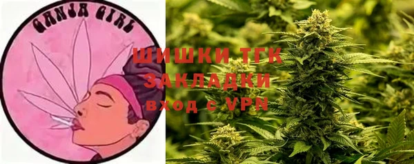 трава Гусь-Хрустальный