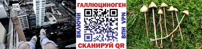 Галлюциногенные грибы прущие грибы  Смоленск 
